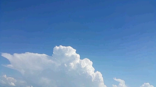 6209646_uploaded_5954931.jpg?type=w773