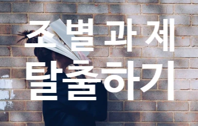 SE-d46fc042-88ac-406e-a94b-a0cd9387c514.png?type=w773