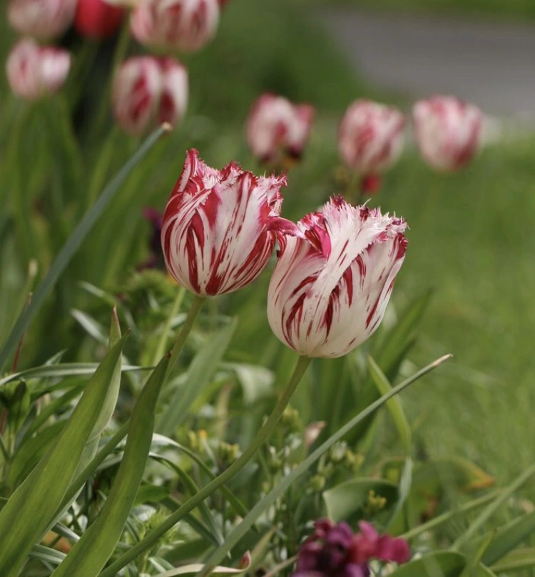 IMG_3677.jpg?type=w3840