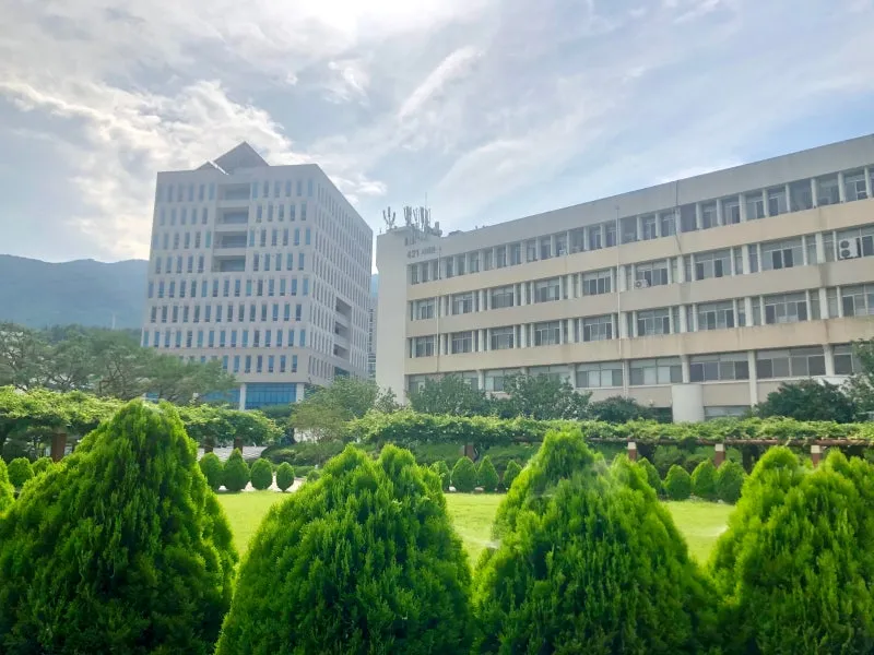 KakaoTalk_20200721_222351153.jpg?type=w800