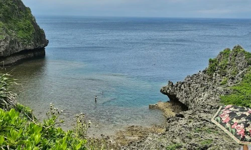 ?src=%22https%3A%2F%2Flh5.googleusercontent.com%2Fp%2FAF1QipMGlTT6MnjYyvJUFwNL4rgIXXQXf_ucUBjRZEJ3%3Dw900-h900-p-k-no%22&type=ff500_300