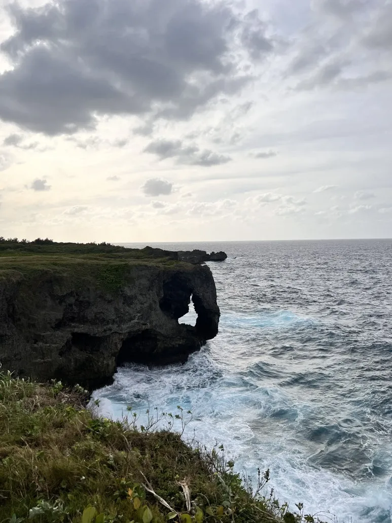 IMG_4769.JPG?type=w773