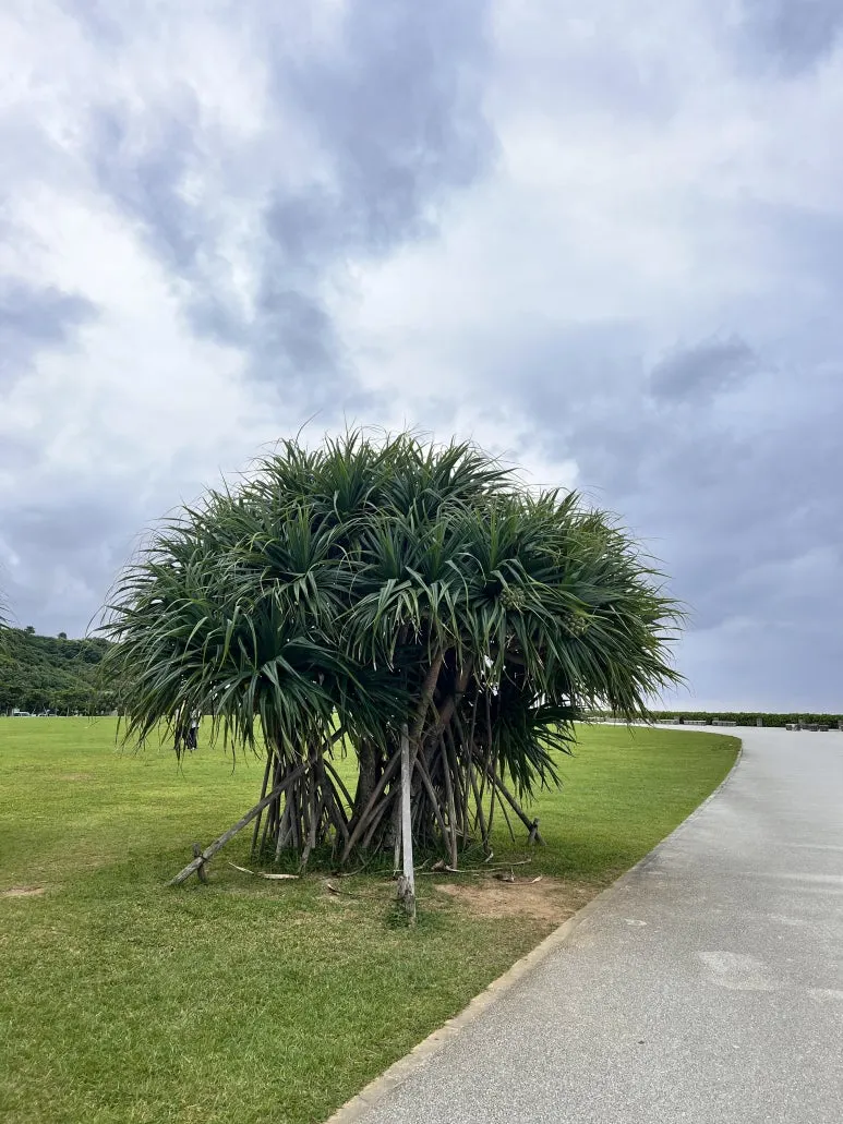 IMG_4584.JPG?type=w773