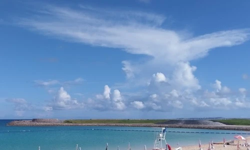 ?src=%22https%3A%2F%2Flh5.googleusercontent.com%2Fp%2FAF1QipM1IoFQnSSj-F8pfcsvrxgyYJFMwHt76DvnwJTh%3Dw900-h900-p-k-no%22&type=ff500_300