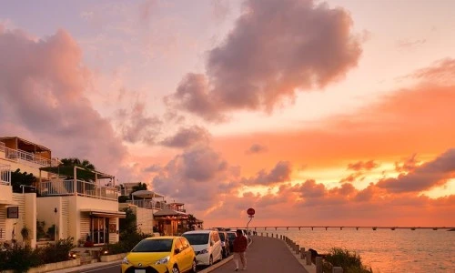 ?src=%22https%3A%2F%2Flh5.googleusercontent.com%2Fp%2FAF1QipPzECEhjm8lIadKPIAbnW8d6qfvdlNgAUB-cWc3%3Dw900-h900-p-k-no%22&type=ff500_300