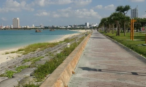 ?src=%22https%3A%2F%2Flh5.googleusercontent.com%2Fp%2FAF1QipPaOzFCNkPJMZfO_wA0-3mgy29GgI1cMDAb0WPU%3Dw900-h900-p-k-no%22&type=ff500_300