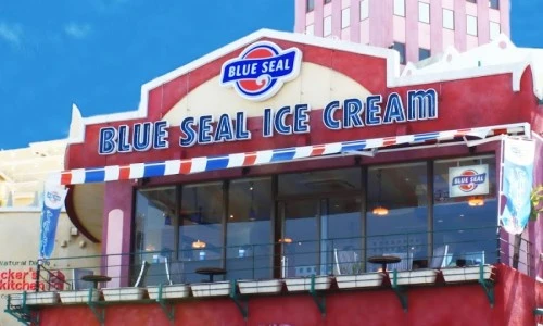 ?src=%22https%3A%2F%2Flh5.googleusercontent.com%2Fp%2FAF1QipM3XM-_myxmMQVmEdAhvzdlMA4hNNYgR8f447yN%3Dw900-h900-p-k-no%22&type=ff500_300