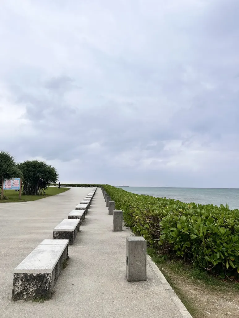 IMG_4583.JPG?type=w773