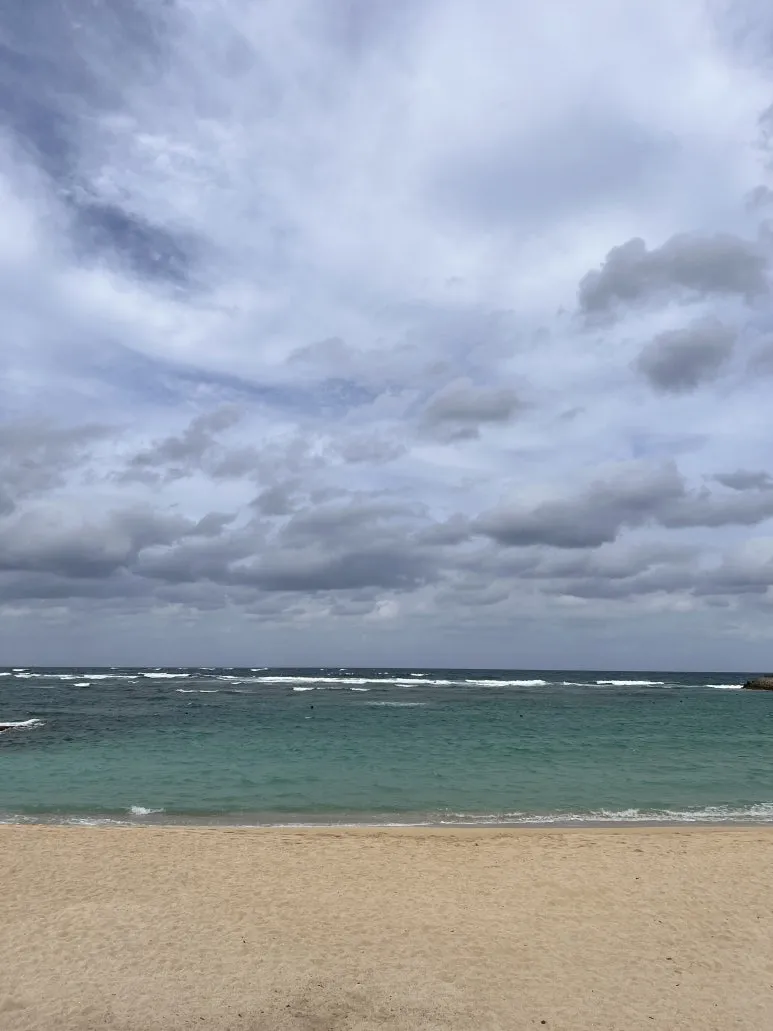 IMG_4662.JPG?type=w773