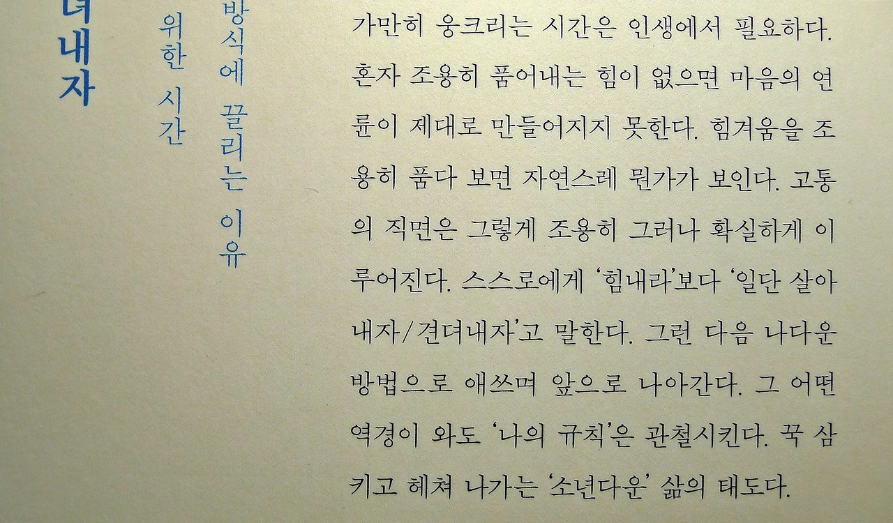 살아내다.JPG