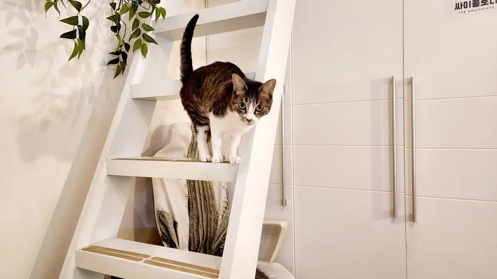 1649149296015.jpg?w=1000&amp;f=jpeg