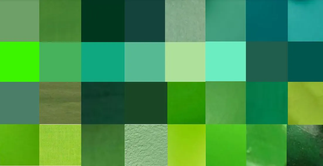 녹색채집 (2).JPG