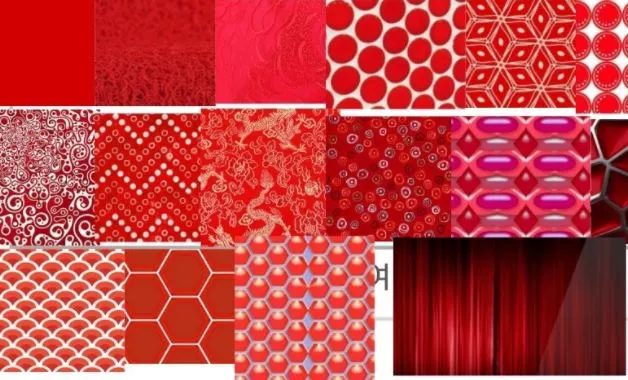 빨강색채집 (1).JPG