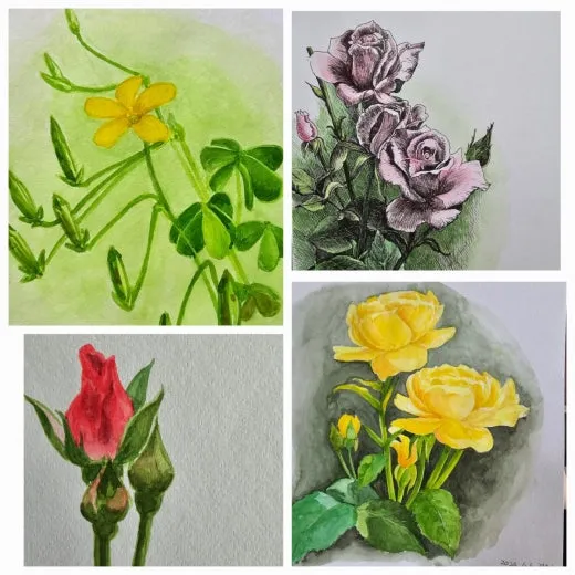 8_3a5Ud018svc1m4suwofdzrav_trfodz.jpg?type=w520