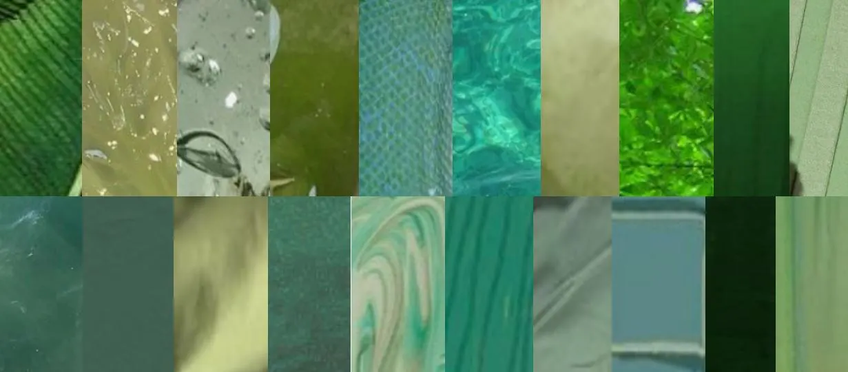 녹색채집 (4).JPG