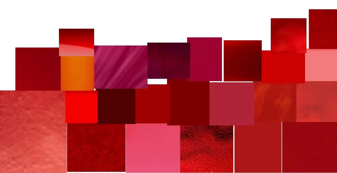 빨강색채집 (4).JPG