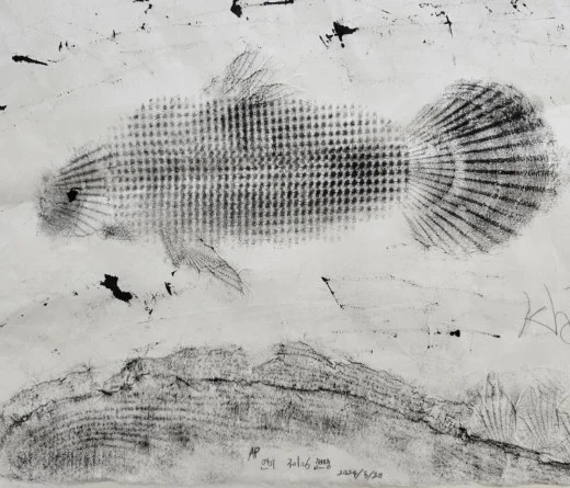 a_hgcUd018svct7jqz1z3bhbq_trfodz.jpg?type=w520