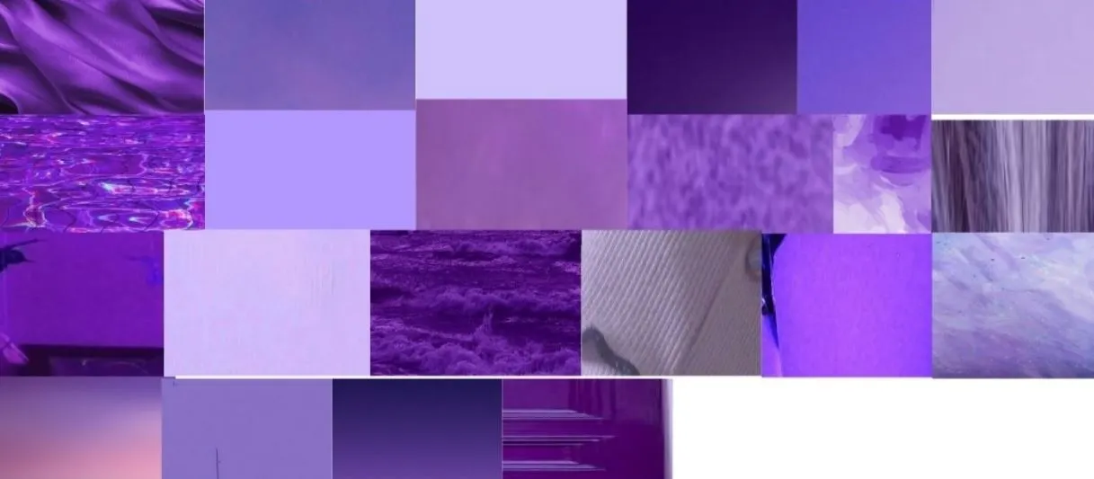 보라색채집 (1).JPG