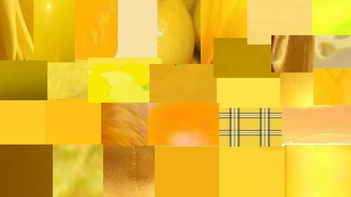 노랑색채집 (1).JPG