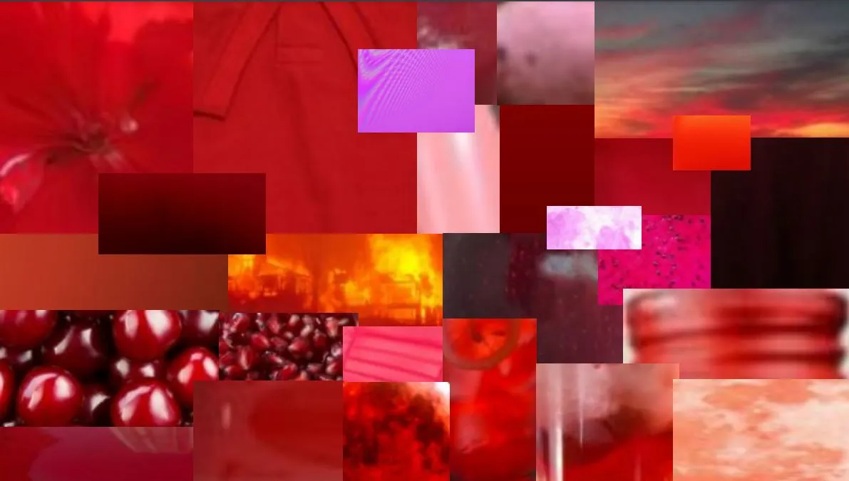 빨강색채집 (2).JPG