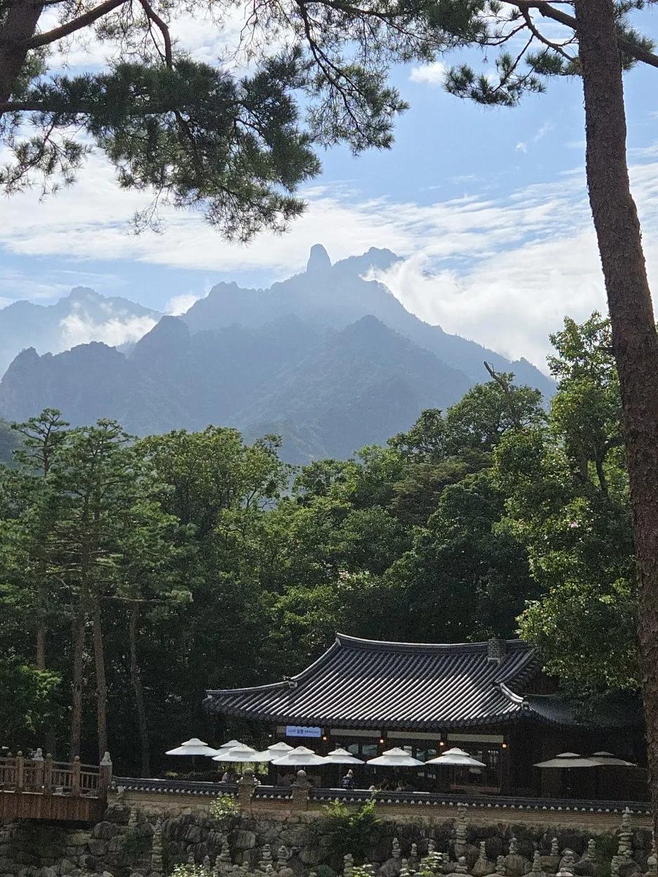 IMG_3450.JPEG?type=w1