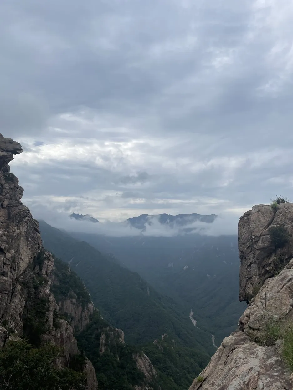 IMG_3423.JPG?type=w1