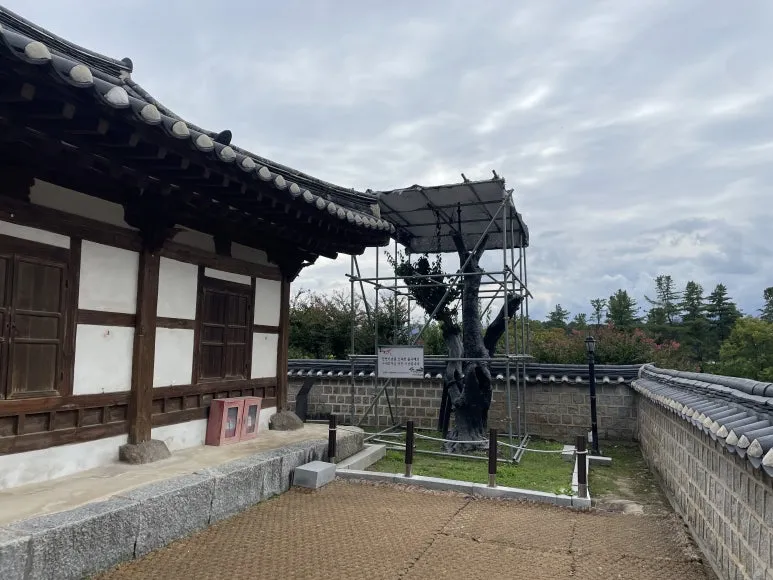 IMG_3772.JPG?type=w773