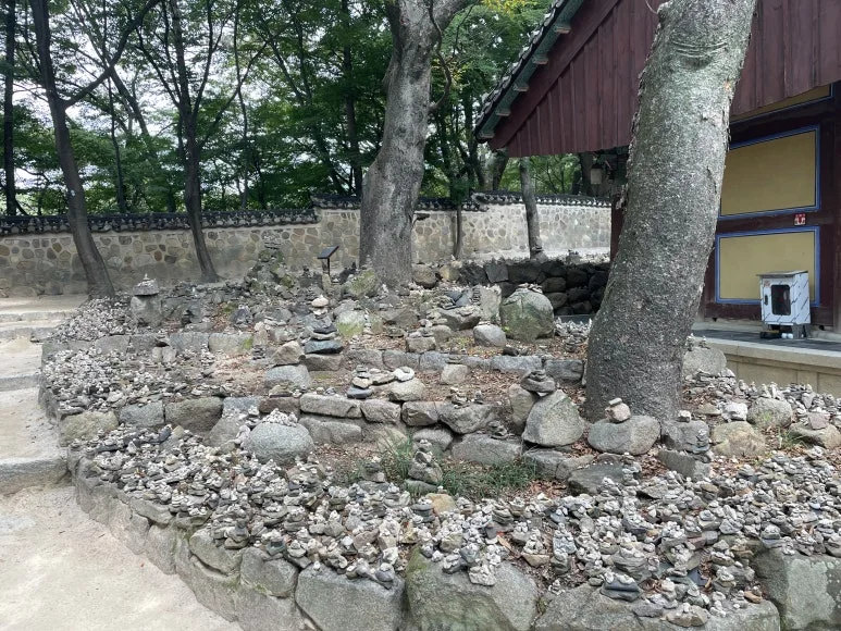 IMG_3948.JPG?type=w773