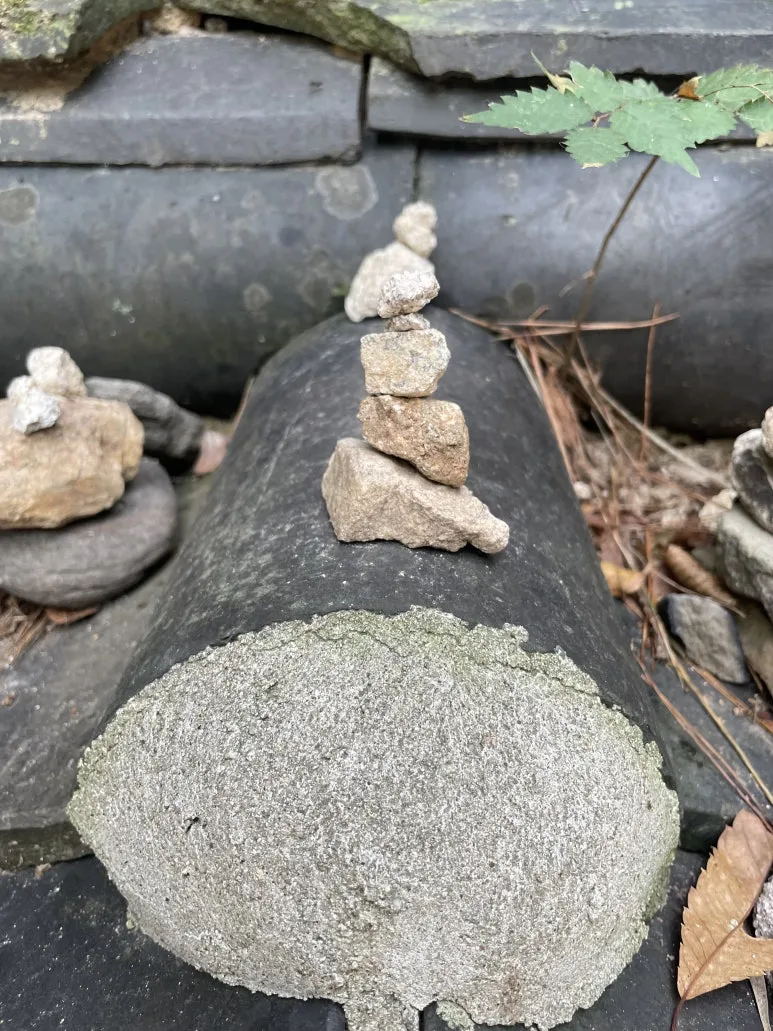 IMG_3980.JPG?type=w773