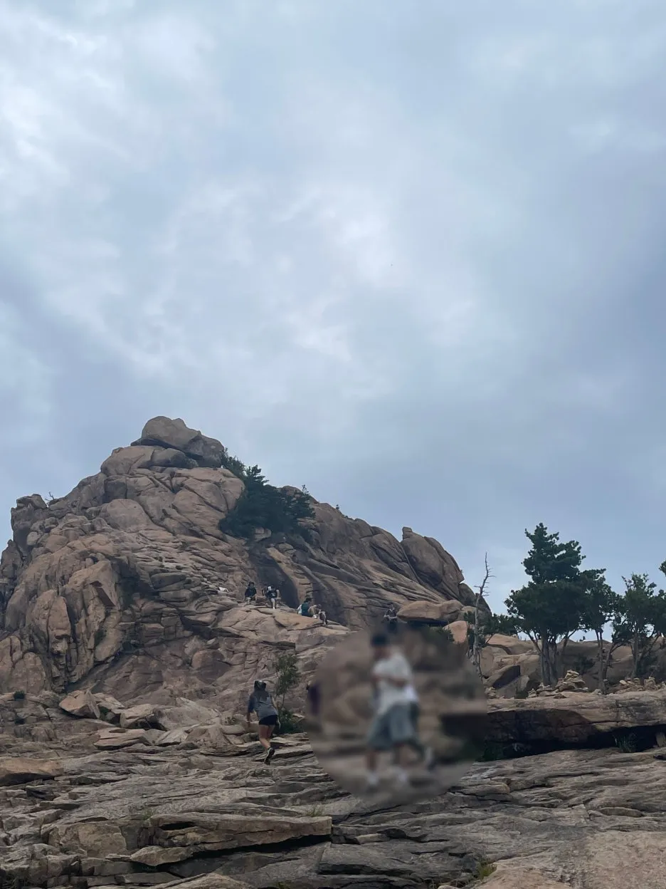 SE-6613d8d2-6617-44d7-be8a-03bf7c364648.jpg?type=w1