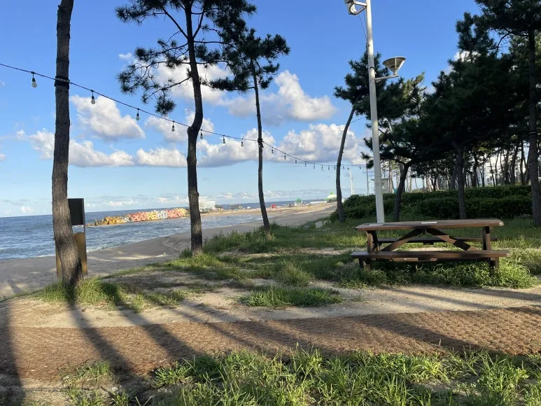 79BEB019-9570-4E9B-90BB-17E645E36CE4_1_102_o.jpeg?type=w773