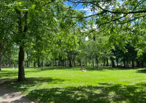 montreal_park.png?type=w966