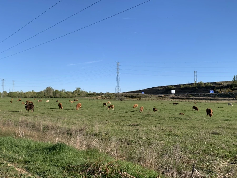 IMG%EF%BC%BF1177.jpg?type=w3840