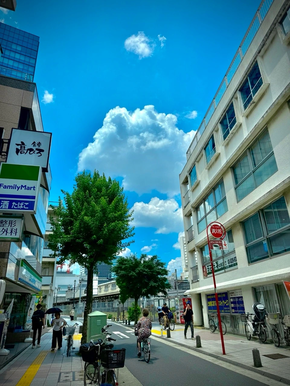 20250627_023807575_iOS Large.jpeg