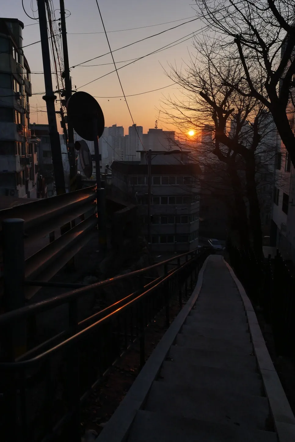 P1075764.JPG?type=w966