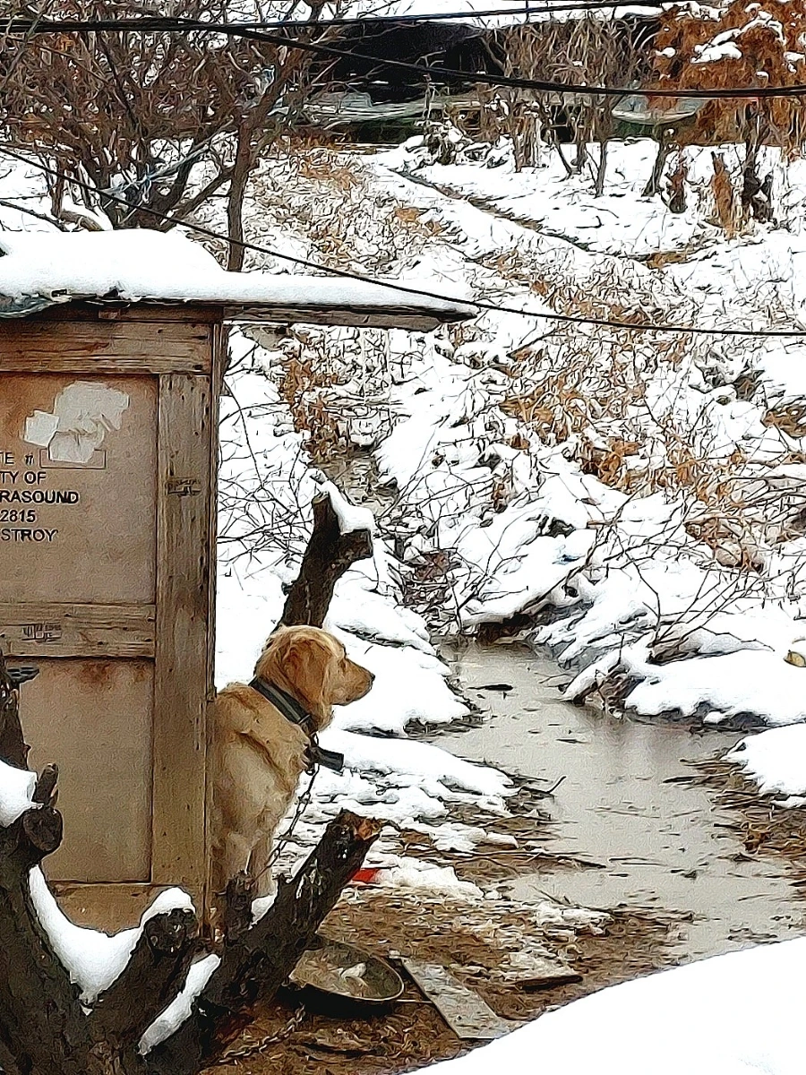 1709389365490.jpg?type=w966