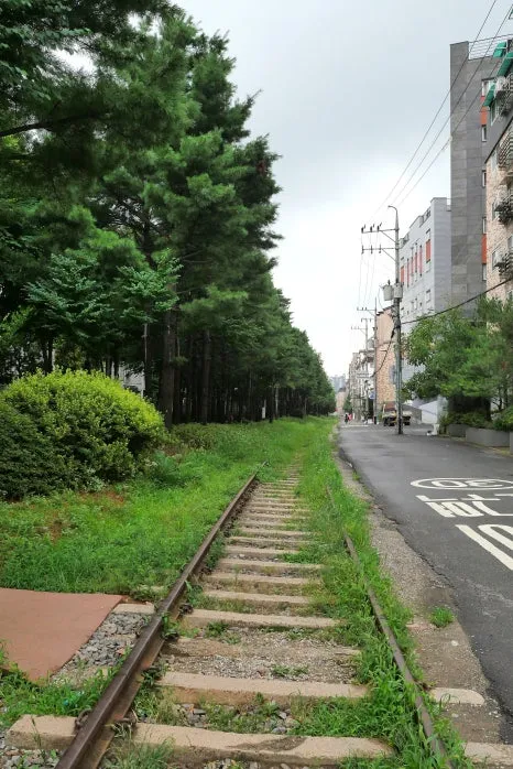 SE-c0bb13ab-a994-4270-b995-4dece450b612.jpg?type=w466