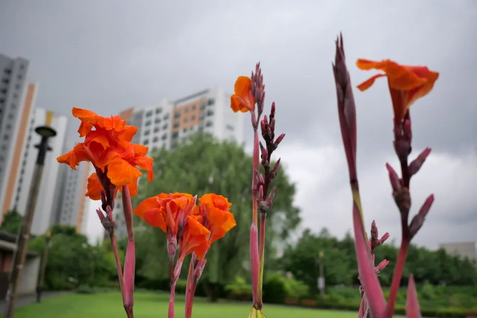 P1098398-0.jpg?type=w966