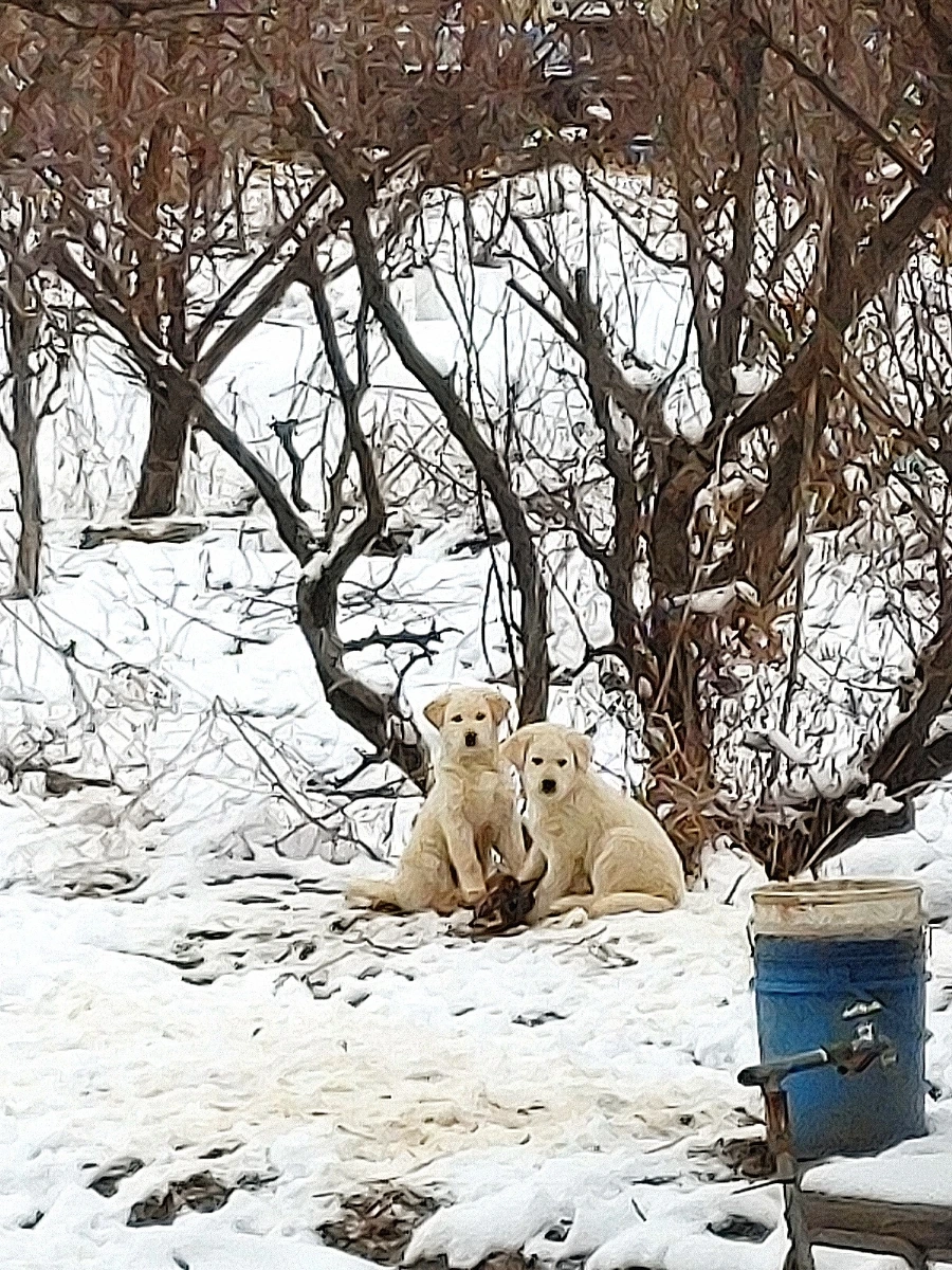 1709389334908.jpg?type=w966