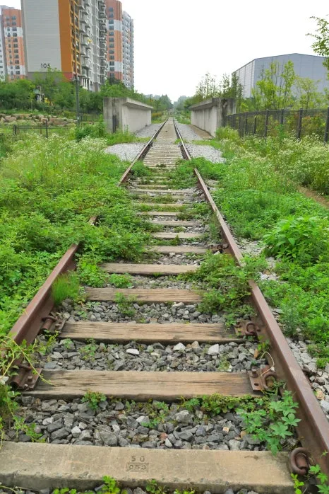 SE-794aaf2c-8531-42bb-89c0-56179baec955.jpg?type=w466