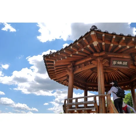 P1097279-re.jpg?type=w466