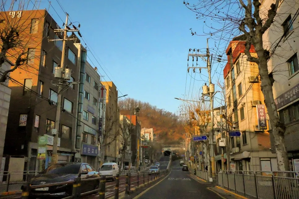 P1063823-0.jpg?type=w966