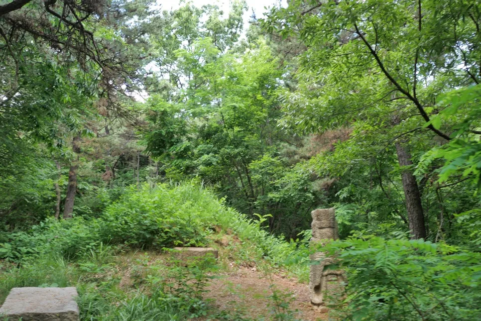 P1097263.JPG?type=w966