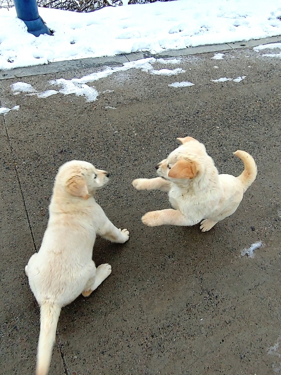 1709389188509.jpg?type=w966