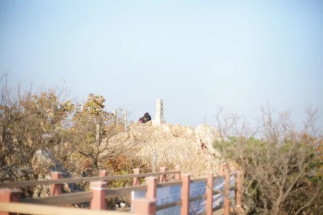 DSC00001.JPG?type=w466