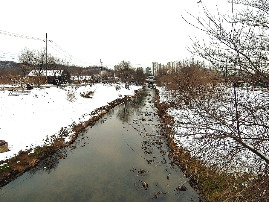 1709388719261.jpg?type=w966