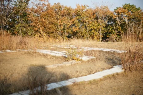 DSC00027.JPG?type=w466