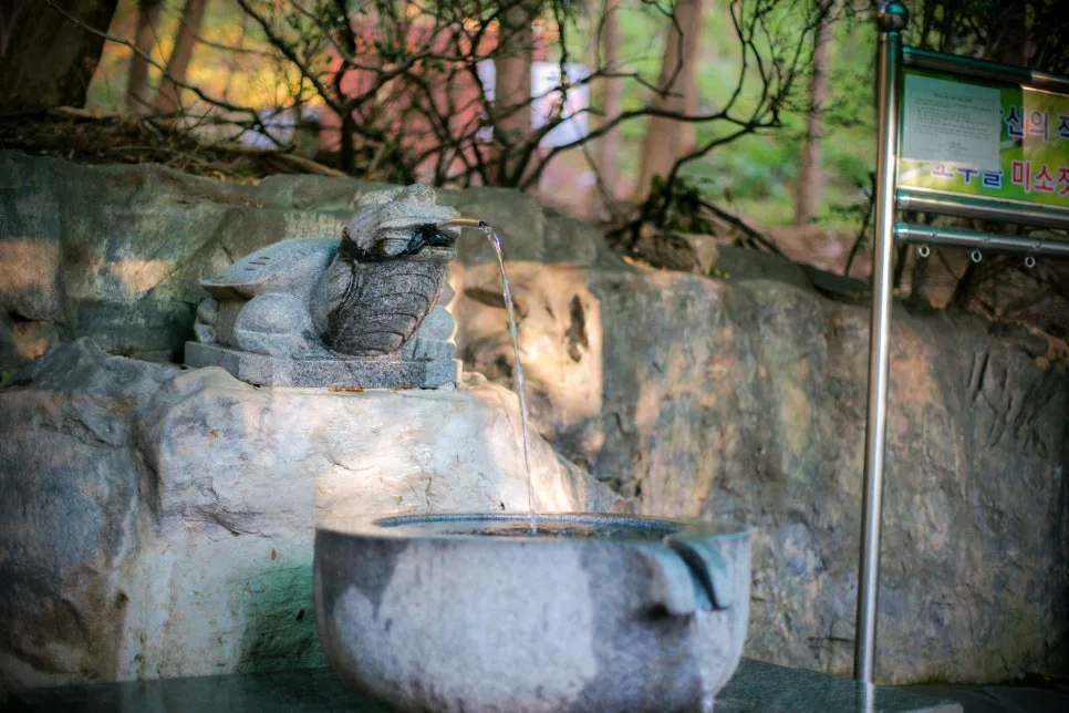 DSC00044-0.jpg?type=w966