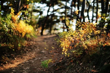 DSC09972-0.jpg?type=w466