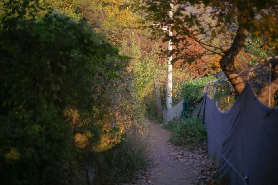 DSC00088.JPG?type=w966